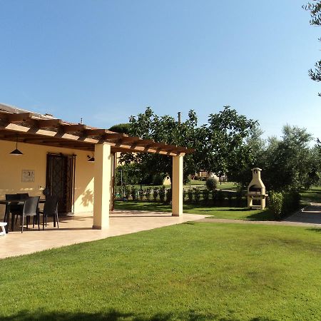 Agriturismo Dallolivo Bolgheri Bagian luar foto