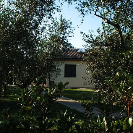 Agriturismo Dallolivo Bolgheri Bagian luar foto