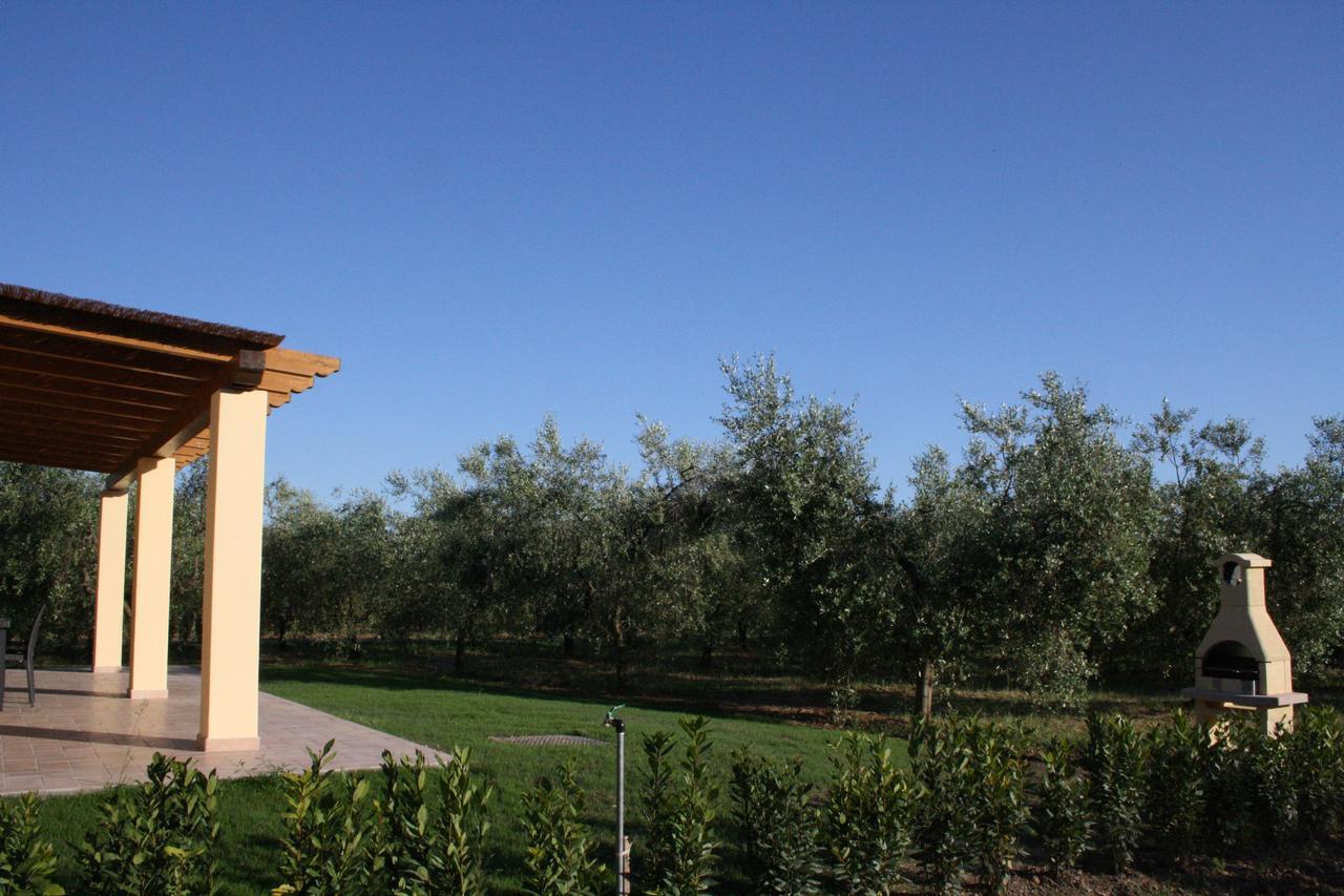 Agriturismo Dallolivo Bolgheri Bagian luar foto