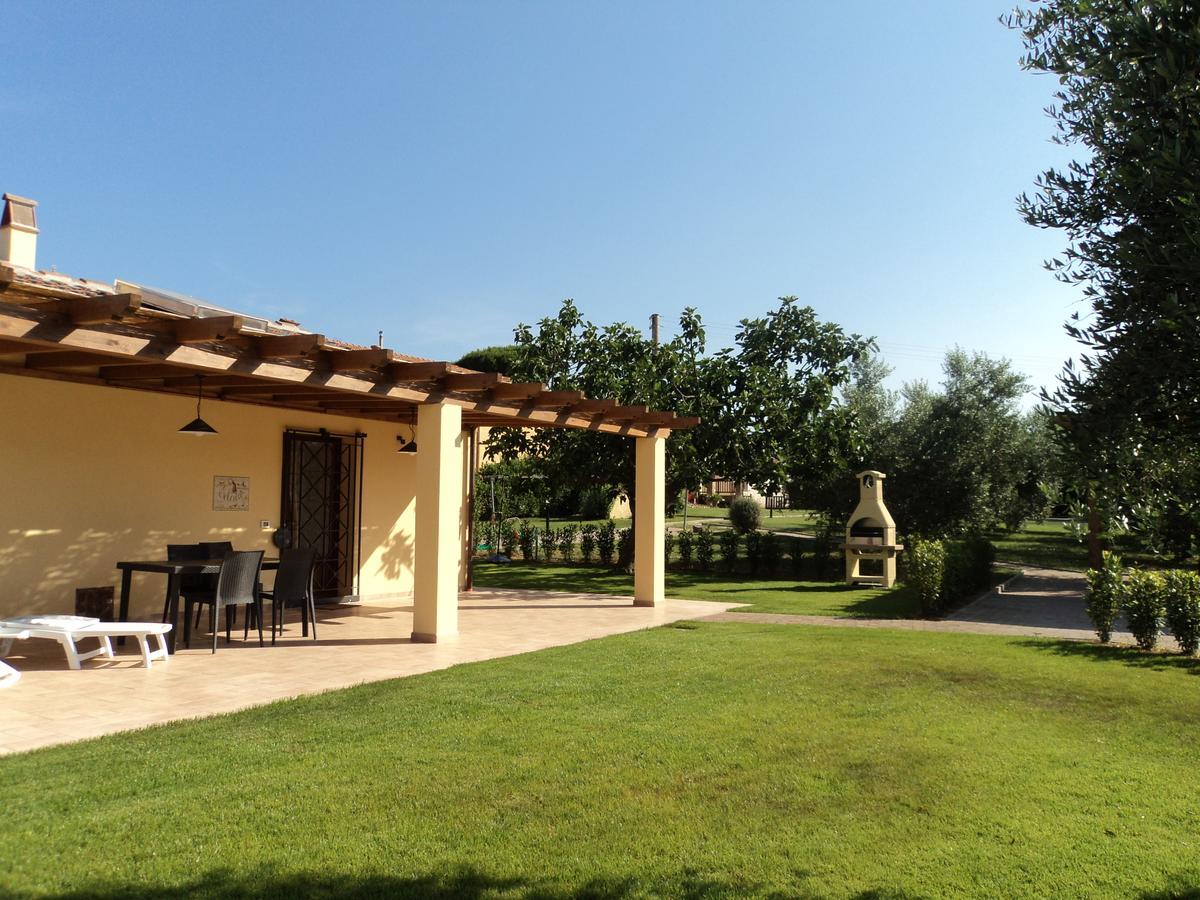 Agriturismo Dallolivo Bolgheri Bagian luar foto