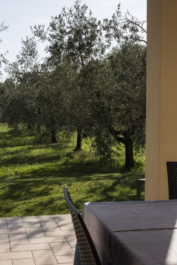 Agriturismo Dallolivo Bolgheri Bagian luar foto