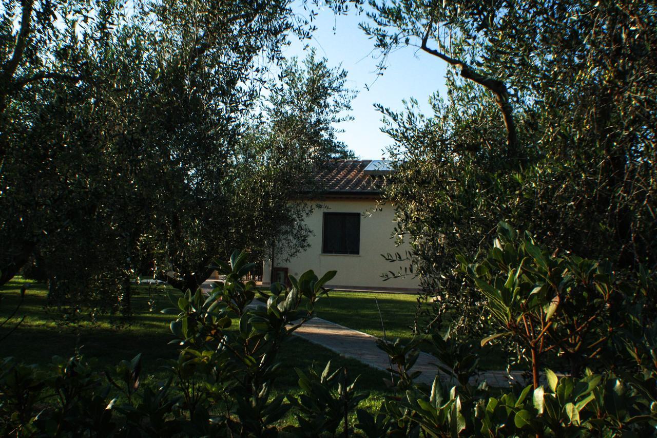 Agriturismo Dallolivo Bolgheri Bagian luar foto