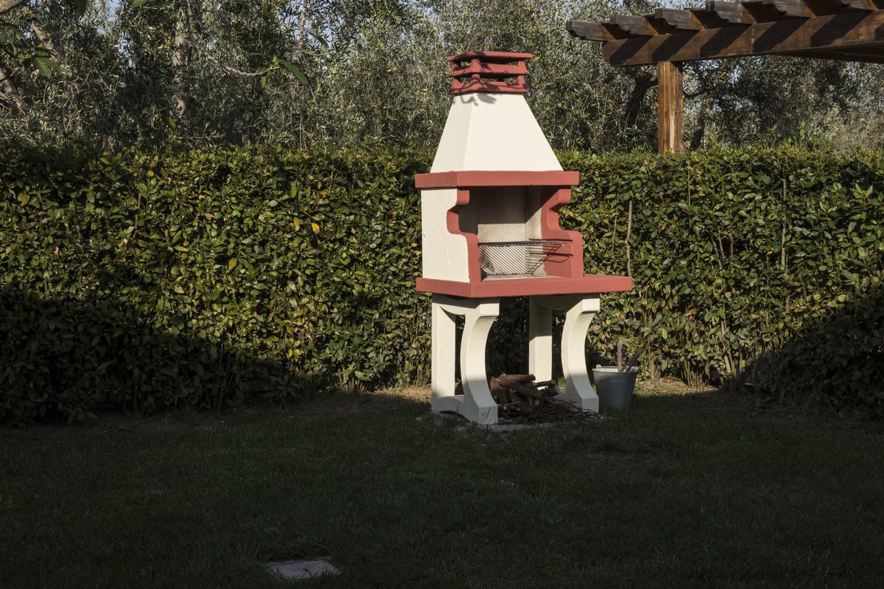 Agriturismo Dallolivo Bolgheri Bagian luar foto